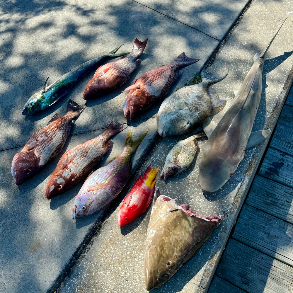 Fishing in Destin