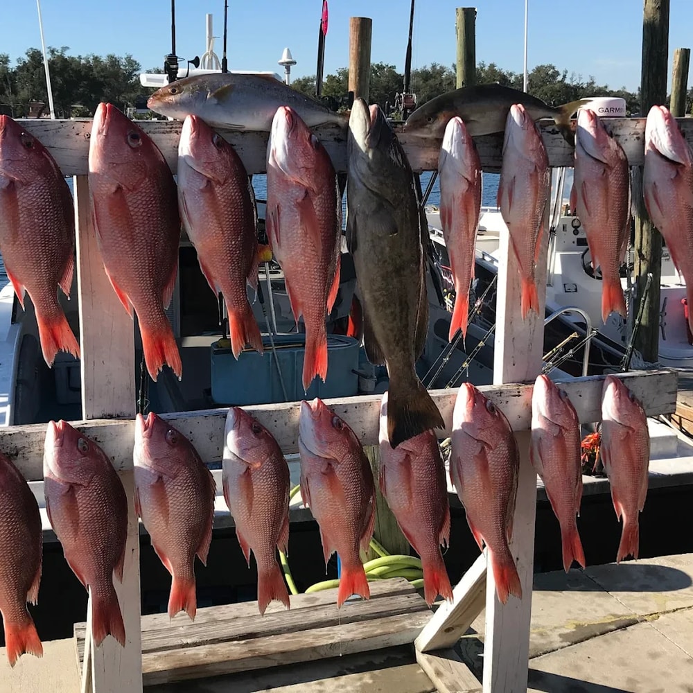 Fishing in Destin