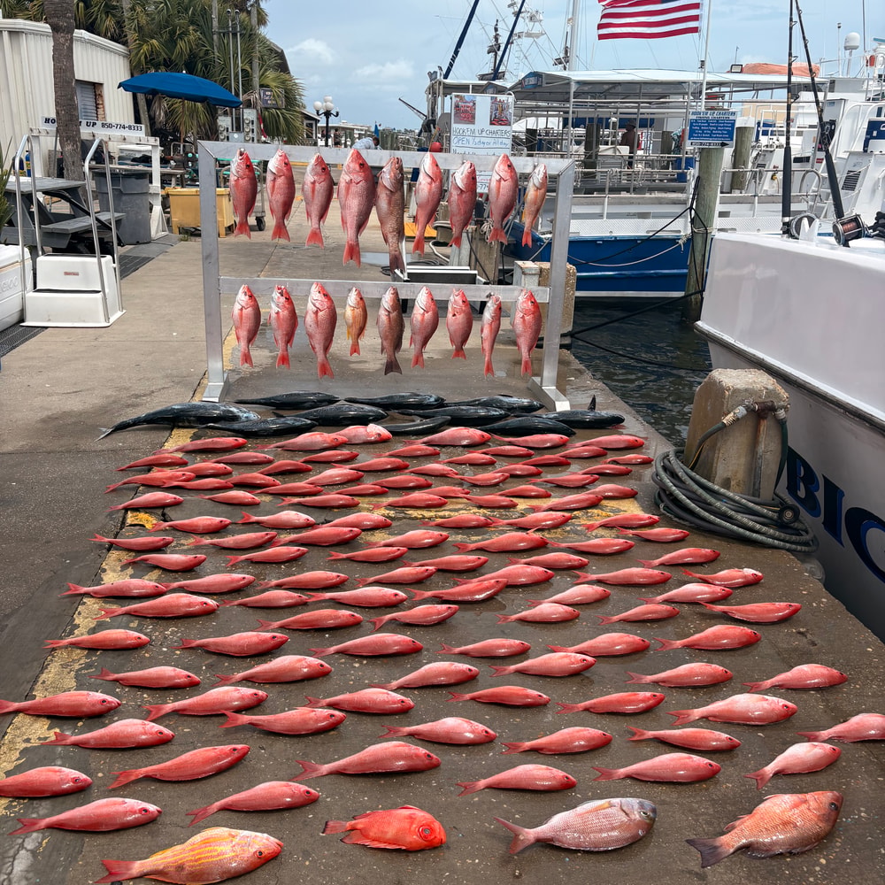 Fishing in Destin