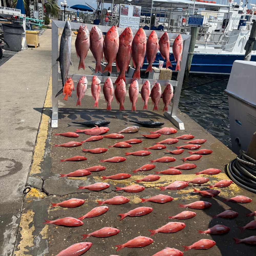 Fishing in Destin