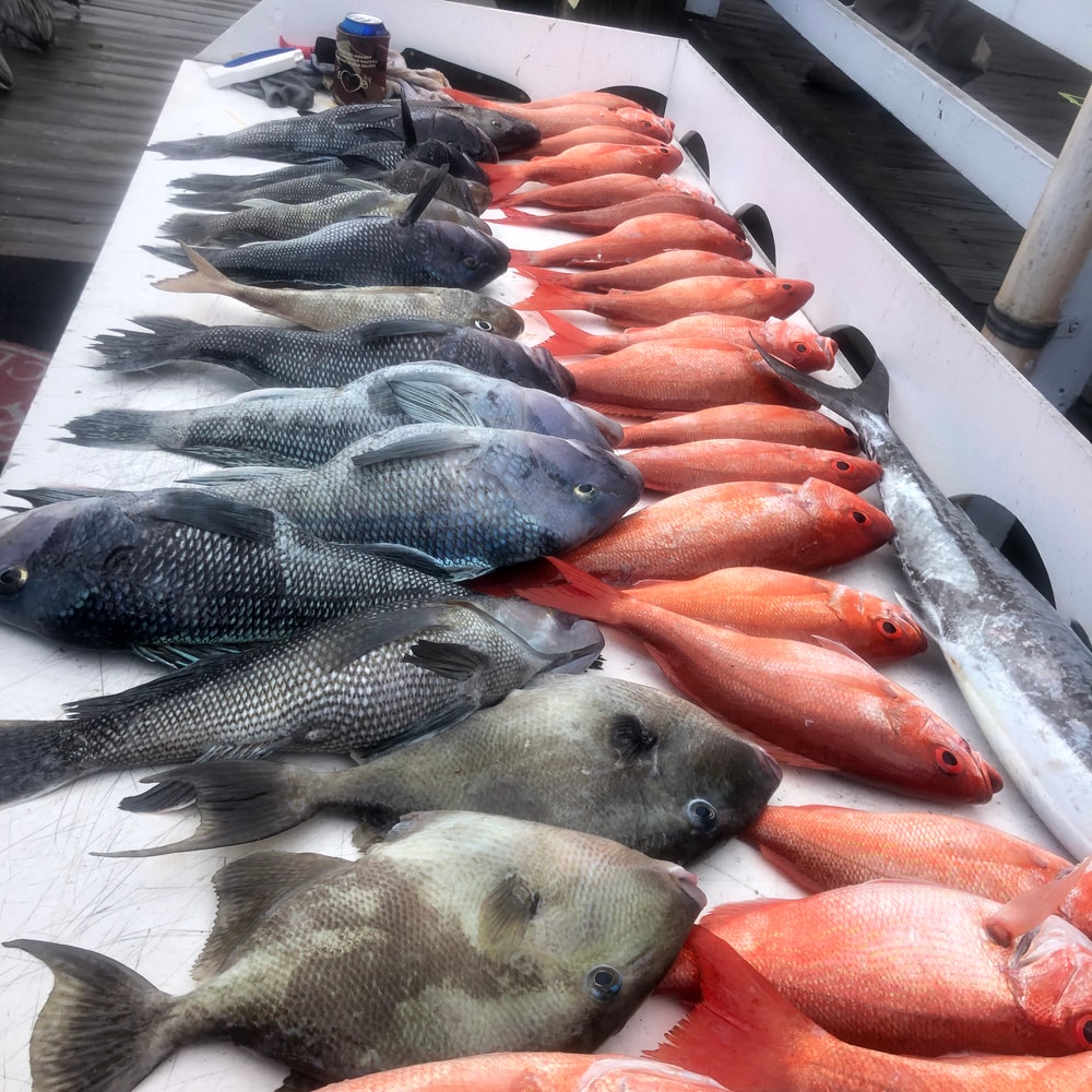 Fishing in Destin