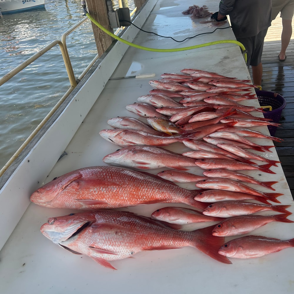 Fishing in Destin