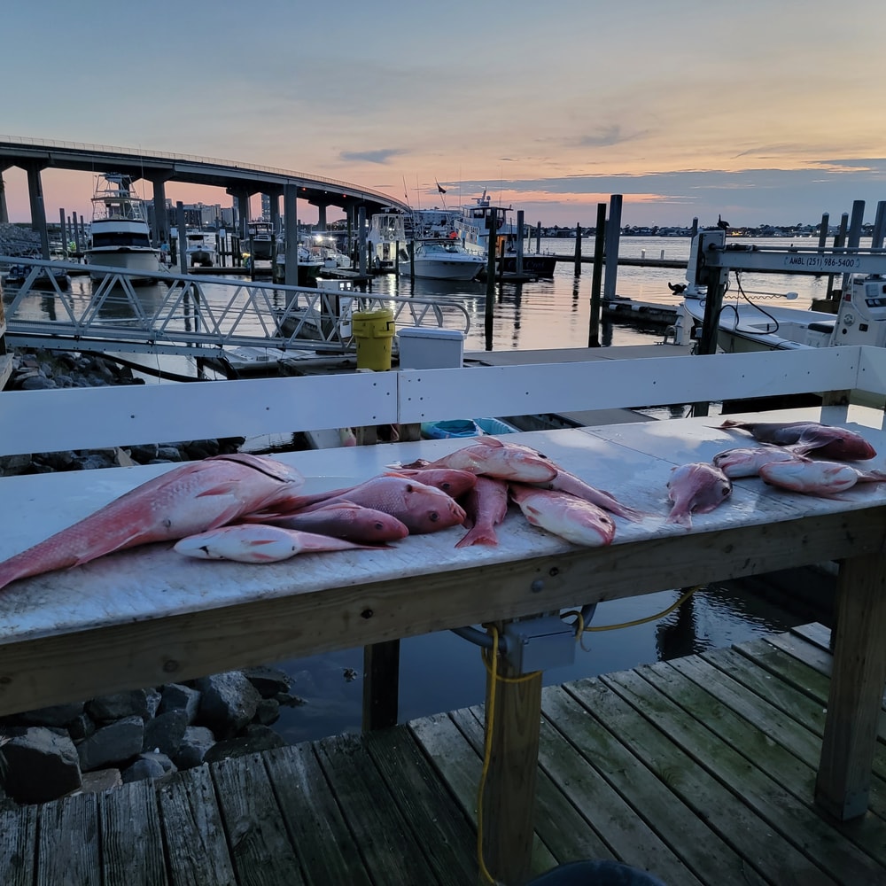 Fishing in Destin
