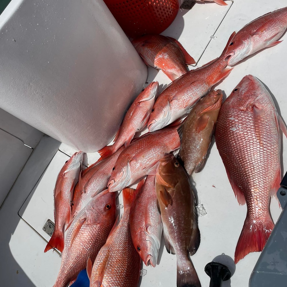 Fishing in Destin
