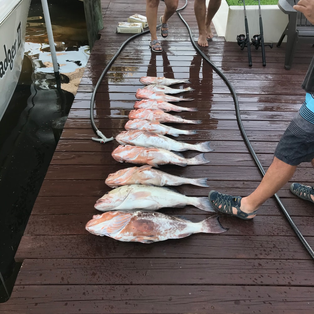 Fishing in Destin