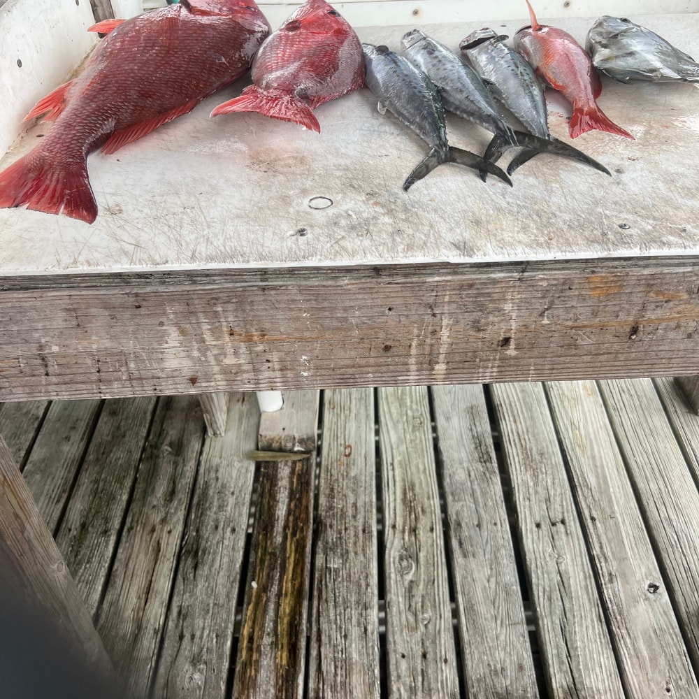 Fishing in Destin
