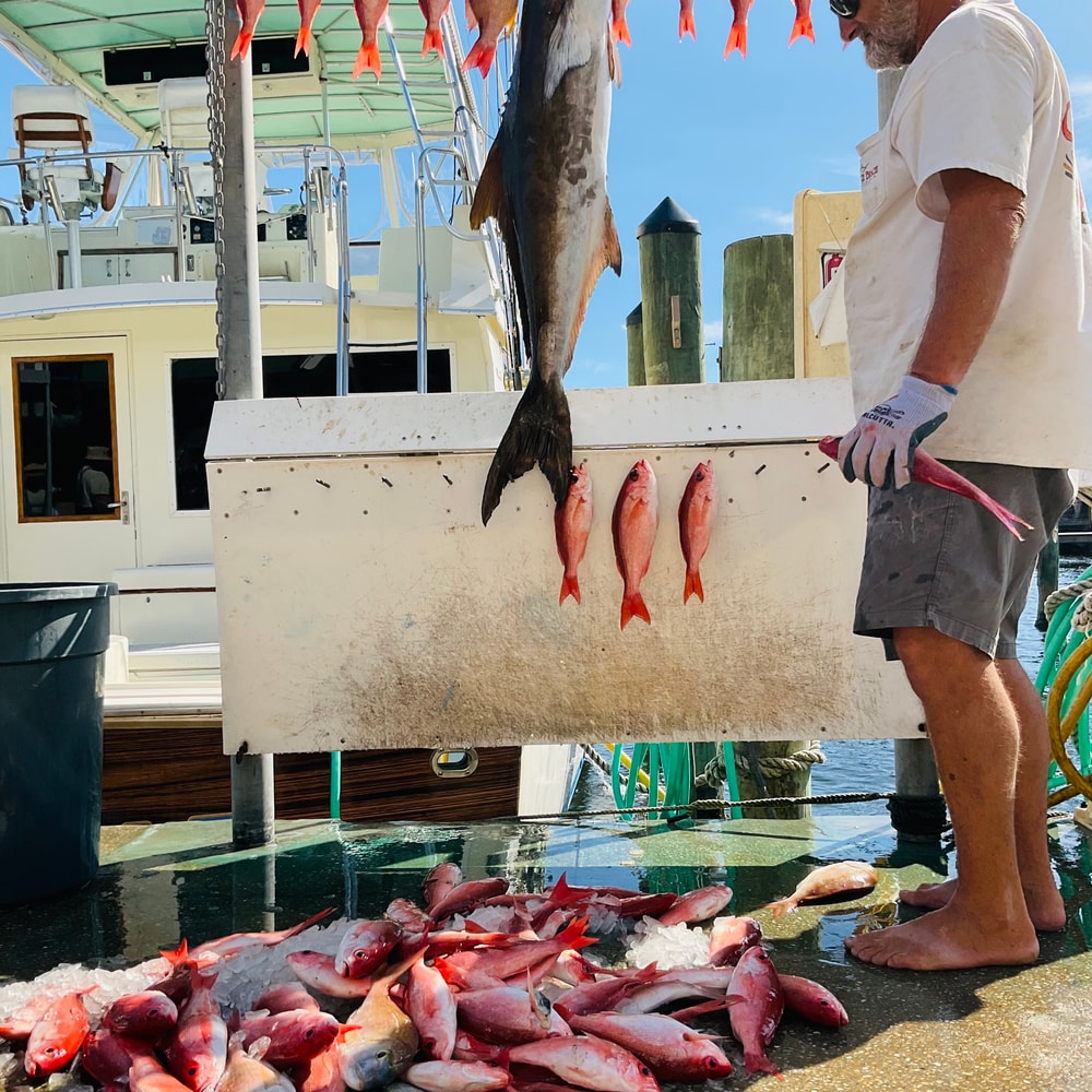 Fishing in Destin