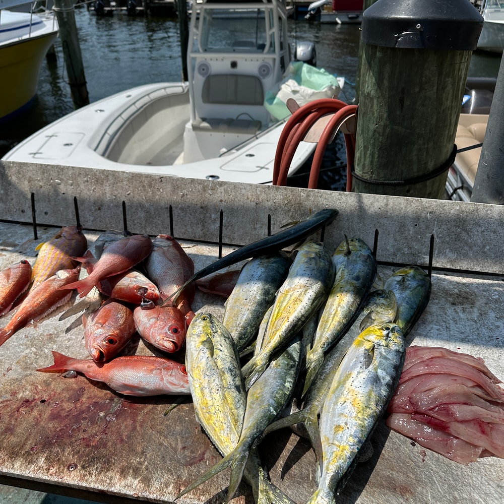 Fishing in Destin