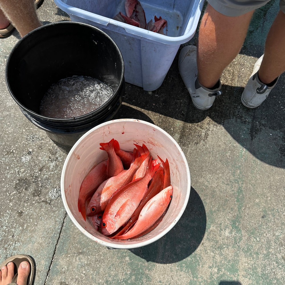 Fishing in Destin