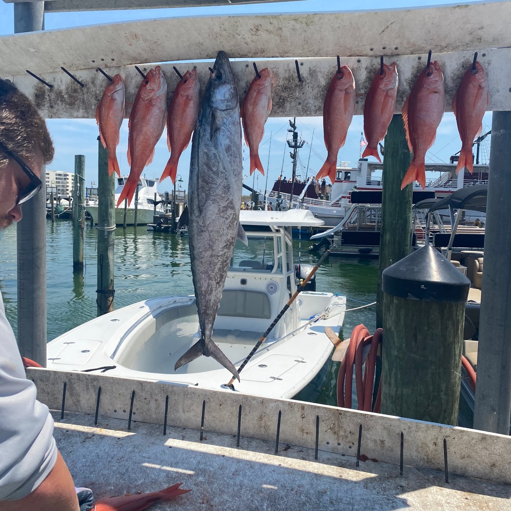 Fishing in Destin