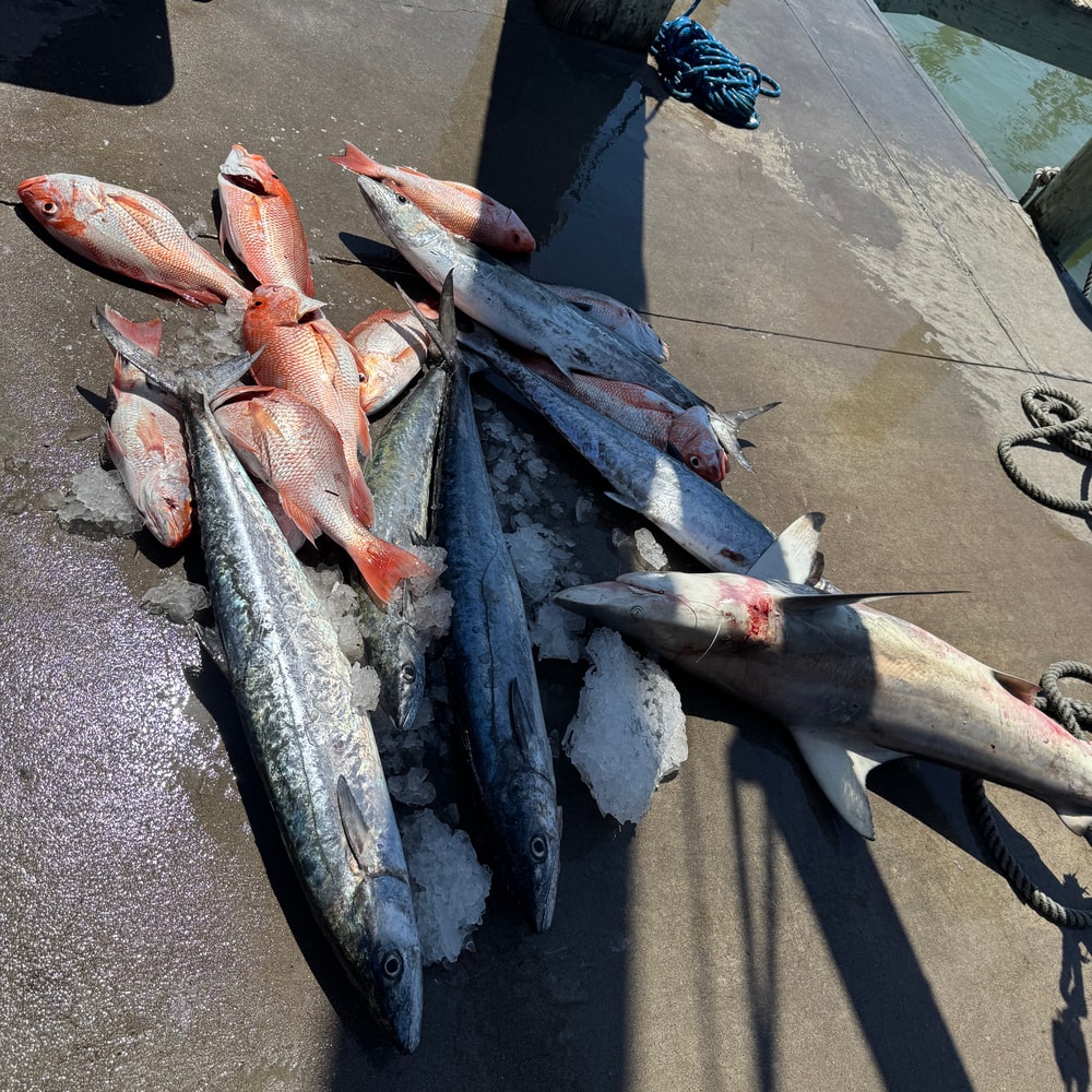 Fishing in Destin
