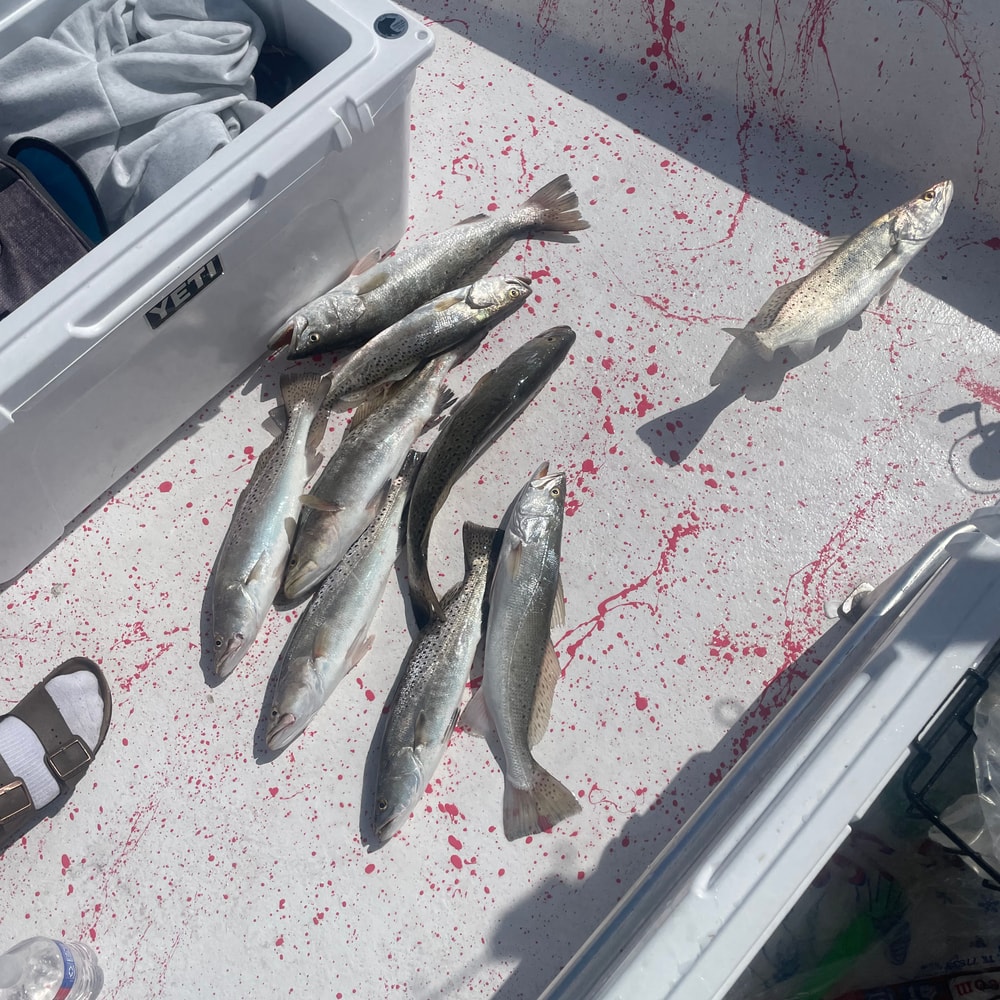 Fishing in Destin
