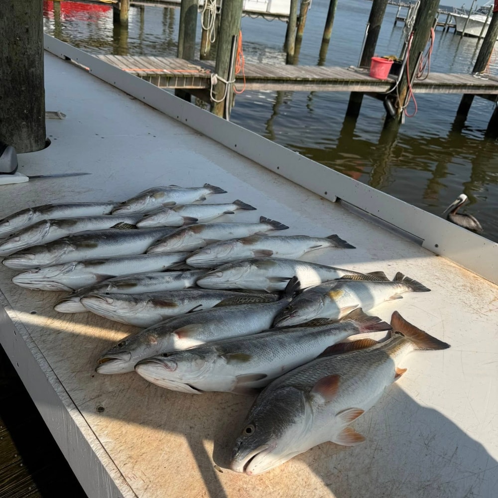 Fishing in Destin
