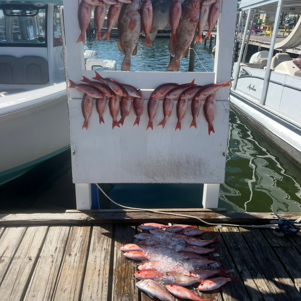 Fishing in Destin