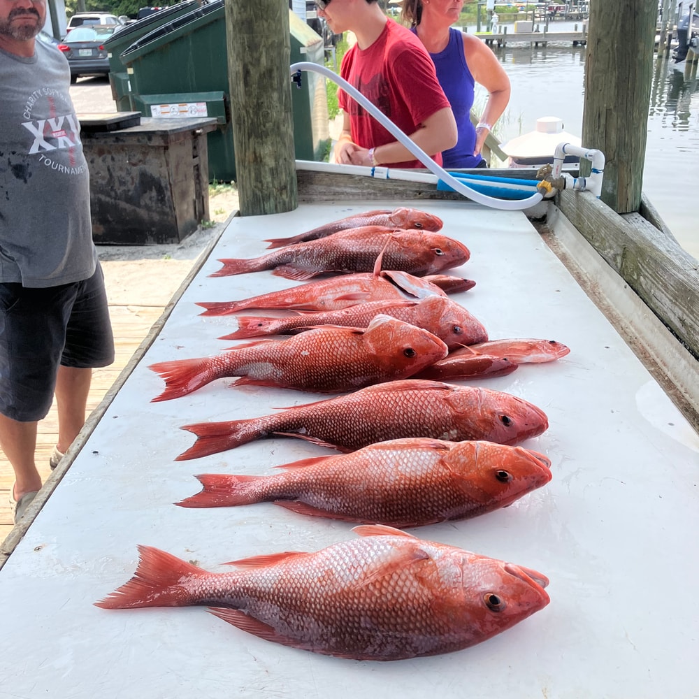 Fishing in Destin
