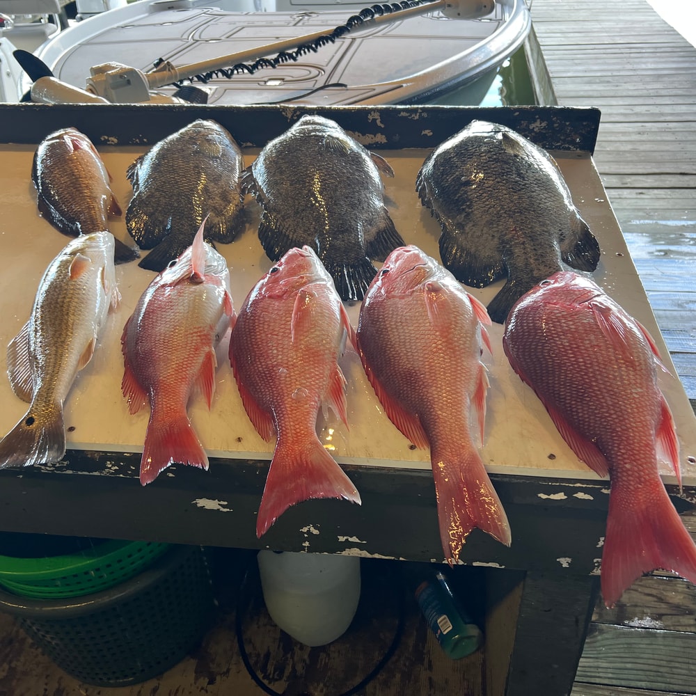 Fishing in Destin