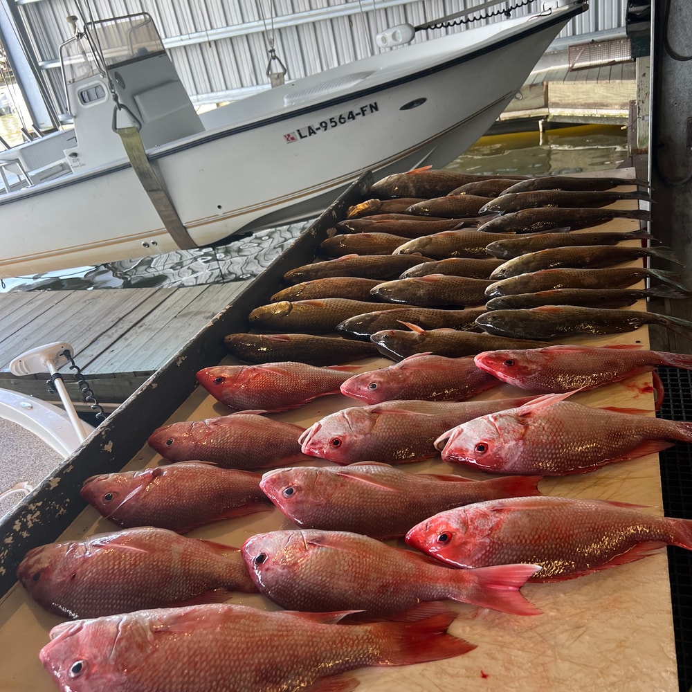 Fishing in Destin