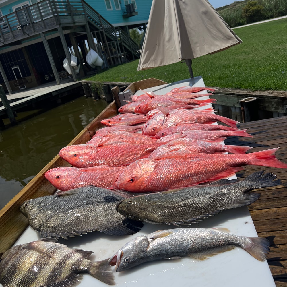 Fishing in Destin