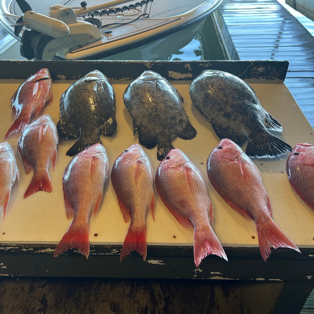 Fishing in Destin