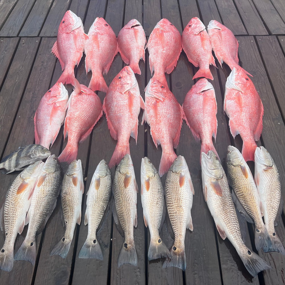 Fishing in Destin