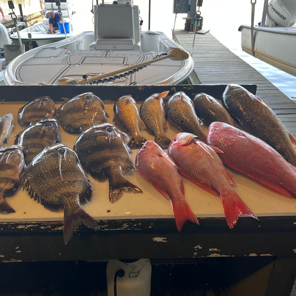 Fishing in Destin