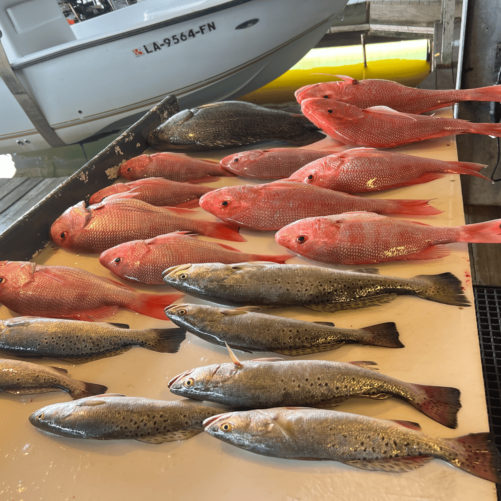 Fishing in Destin