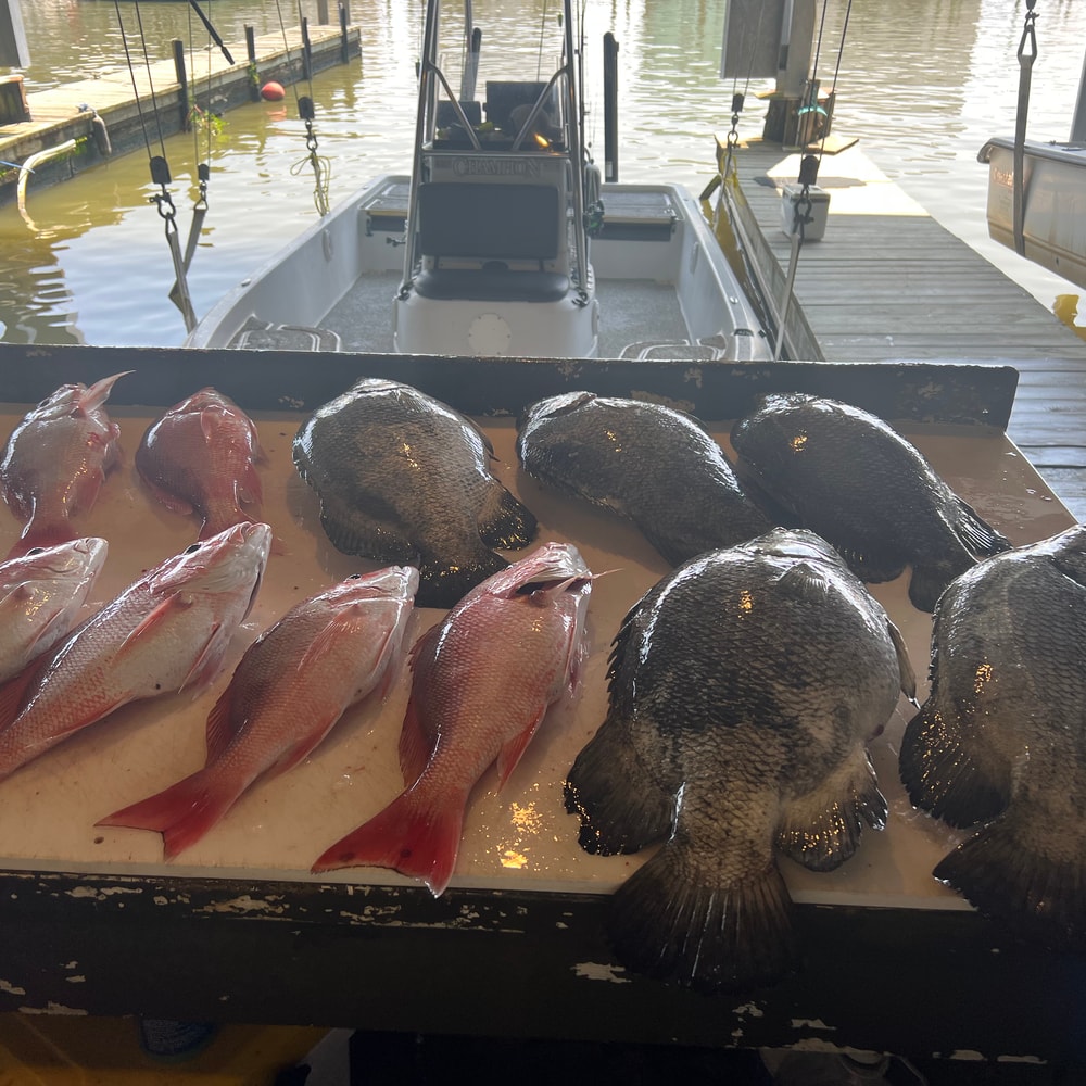 Fishing in Destin
