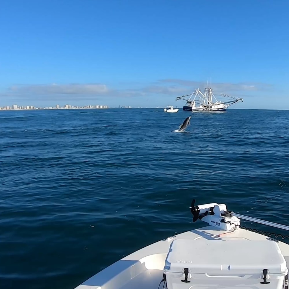 Fishing in Destin