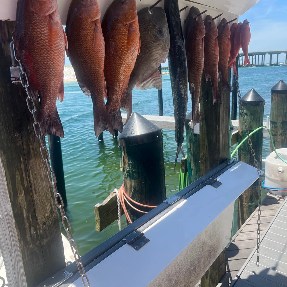 Fishing in Destin