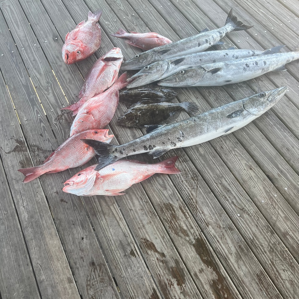 Fishing in Destin