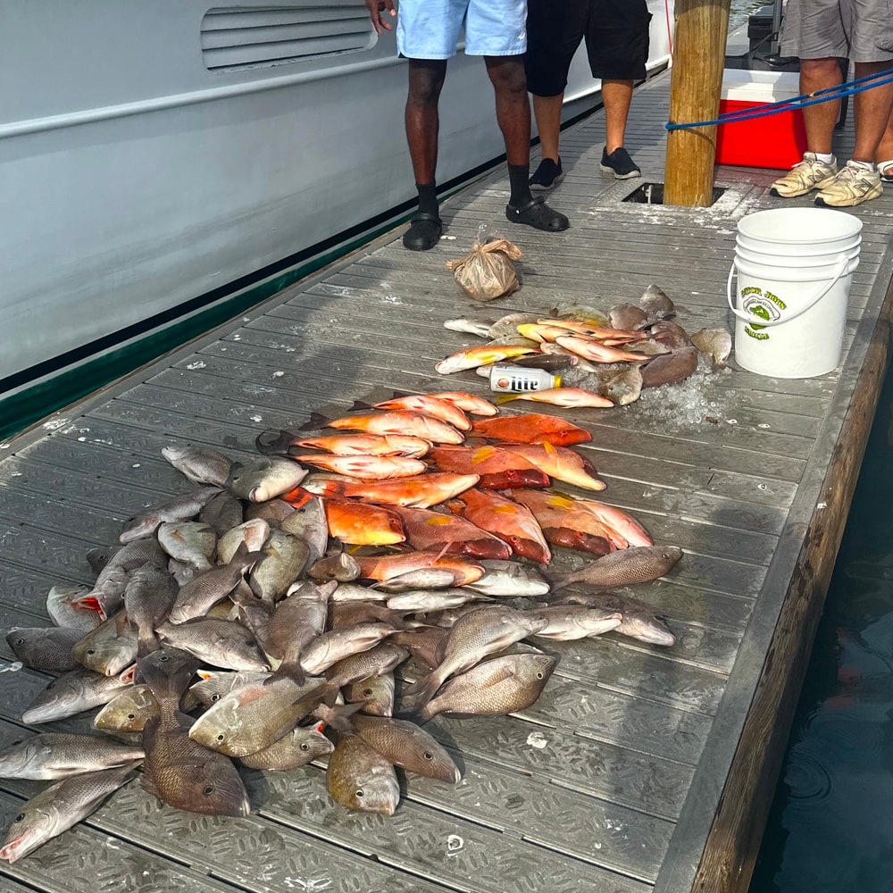 Fishing in Destin