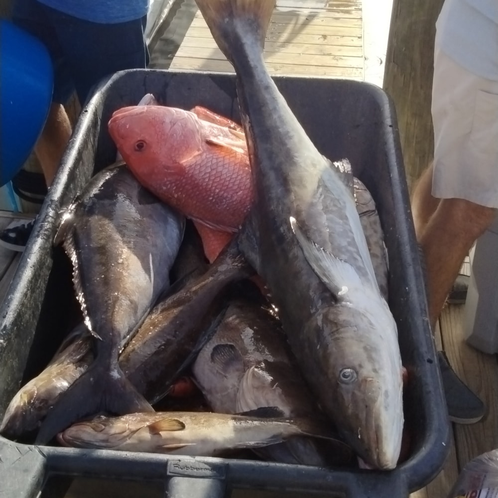 Fishing in Destin