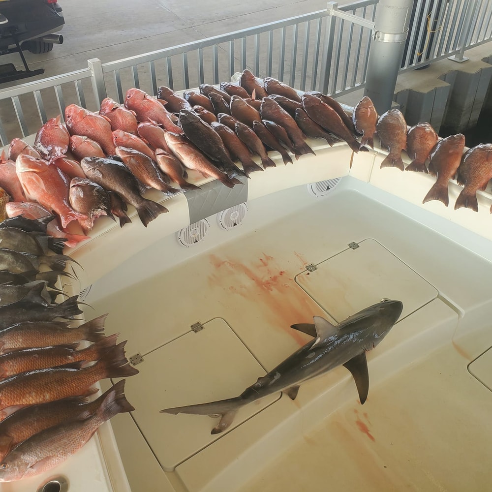 Fishing in Destin