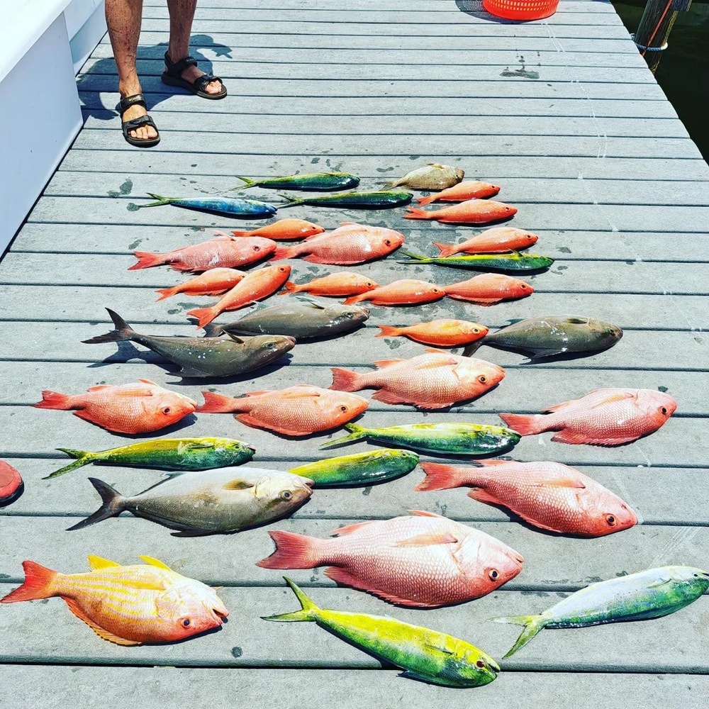 Fishing in Destin