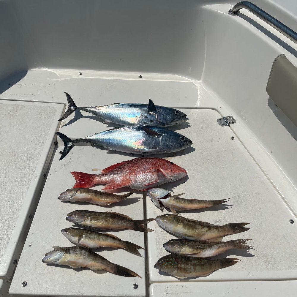 Fishing in Destin
