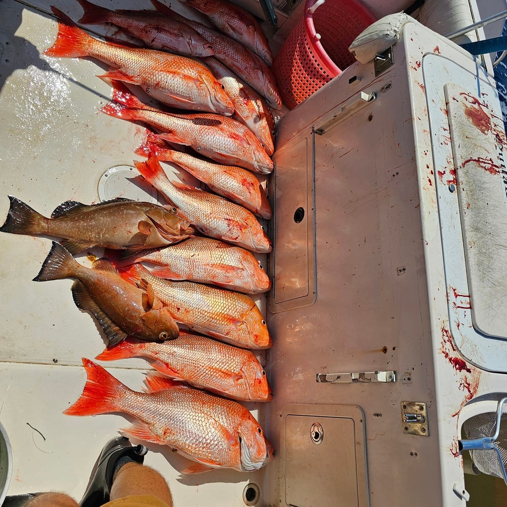Fishing in Destin