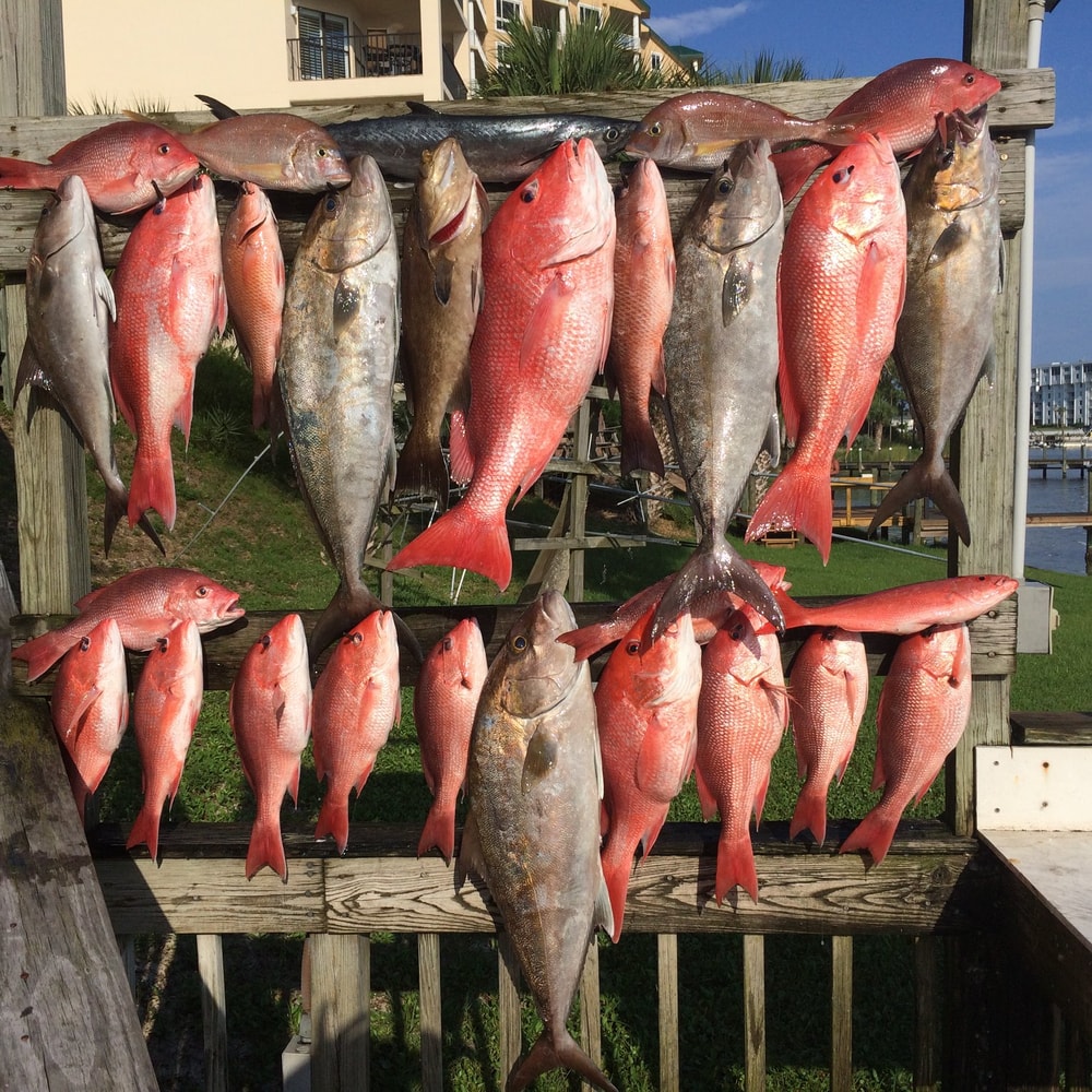 Fishing in Destin