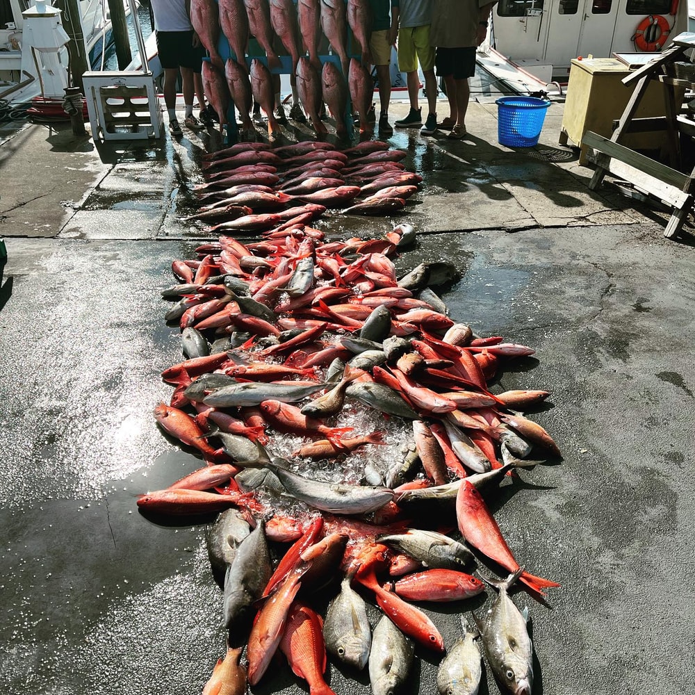 Fishing in Destin