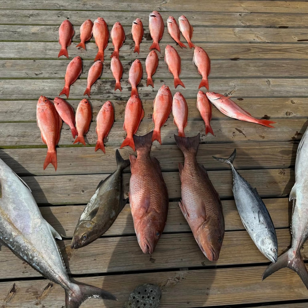 Fishing in Destin