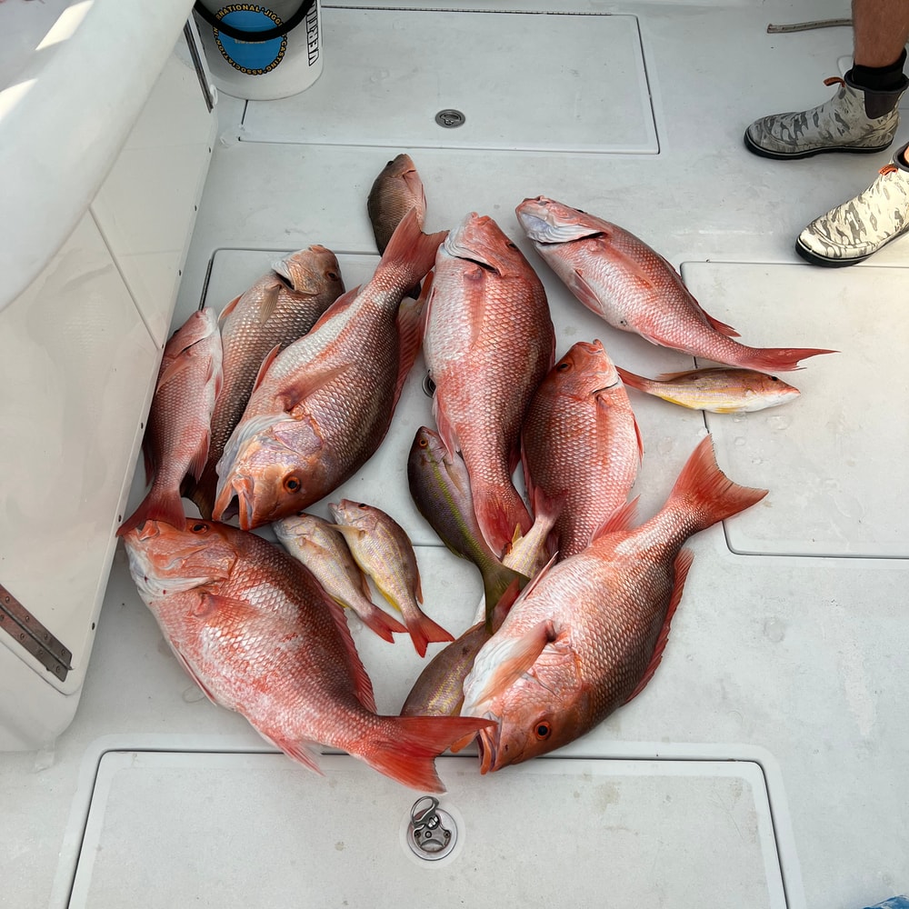Fishing in Destin