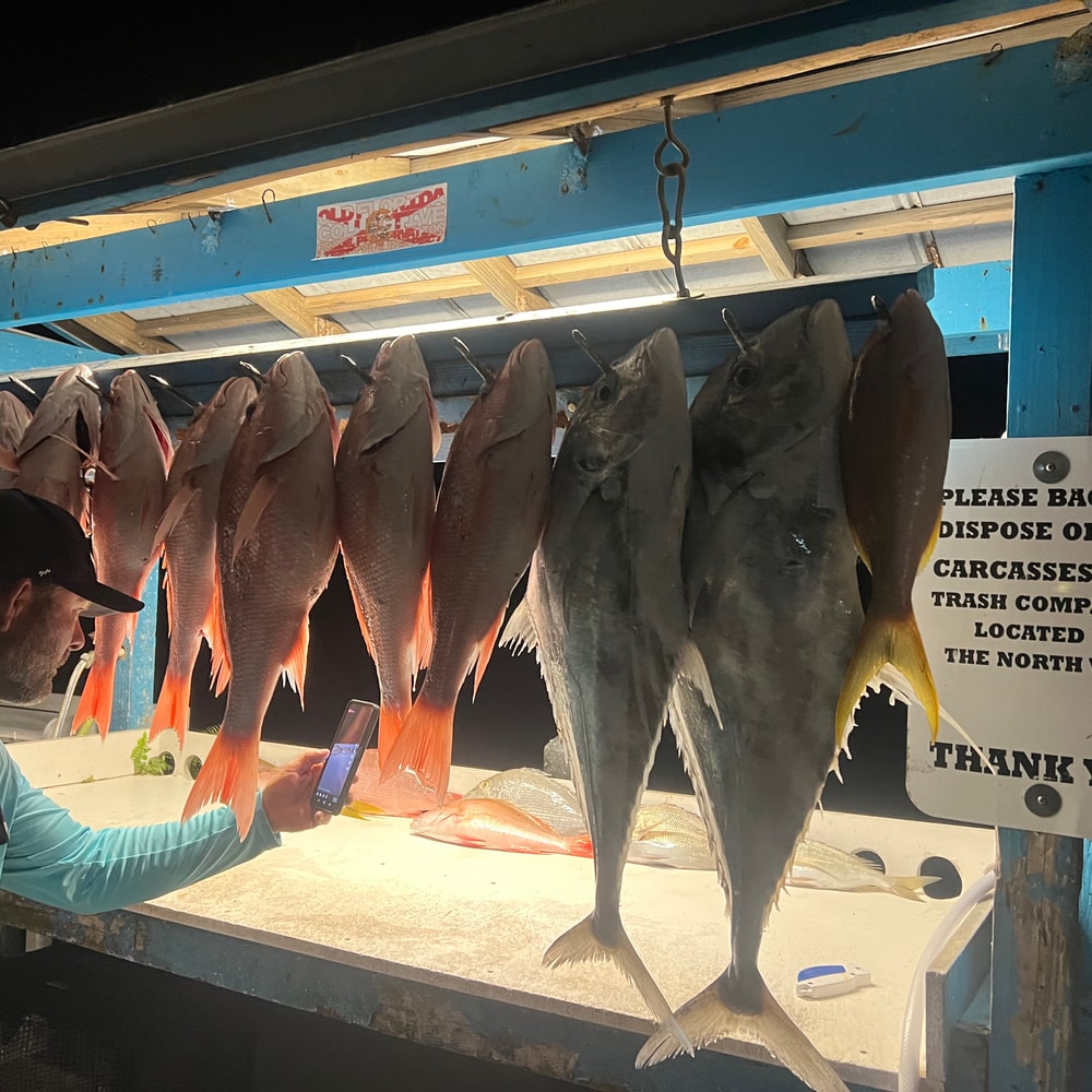 Fishing in Destin