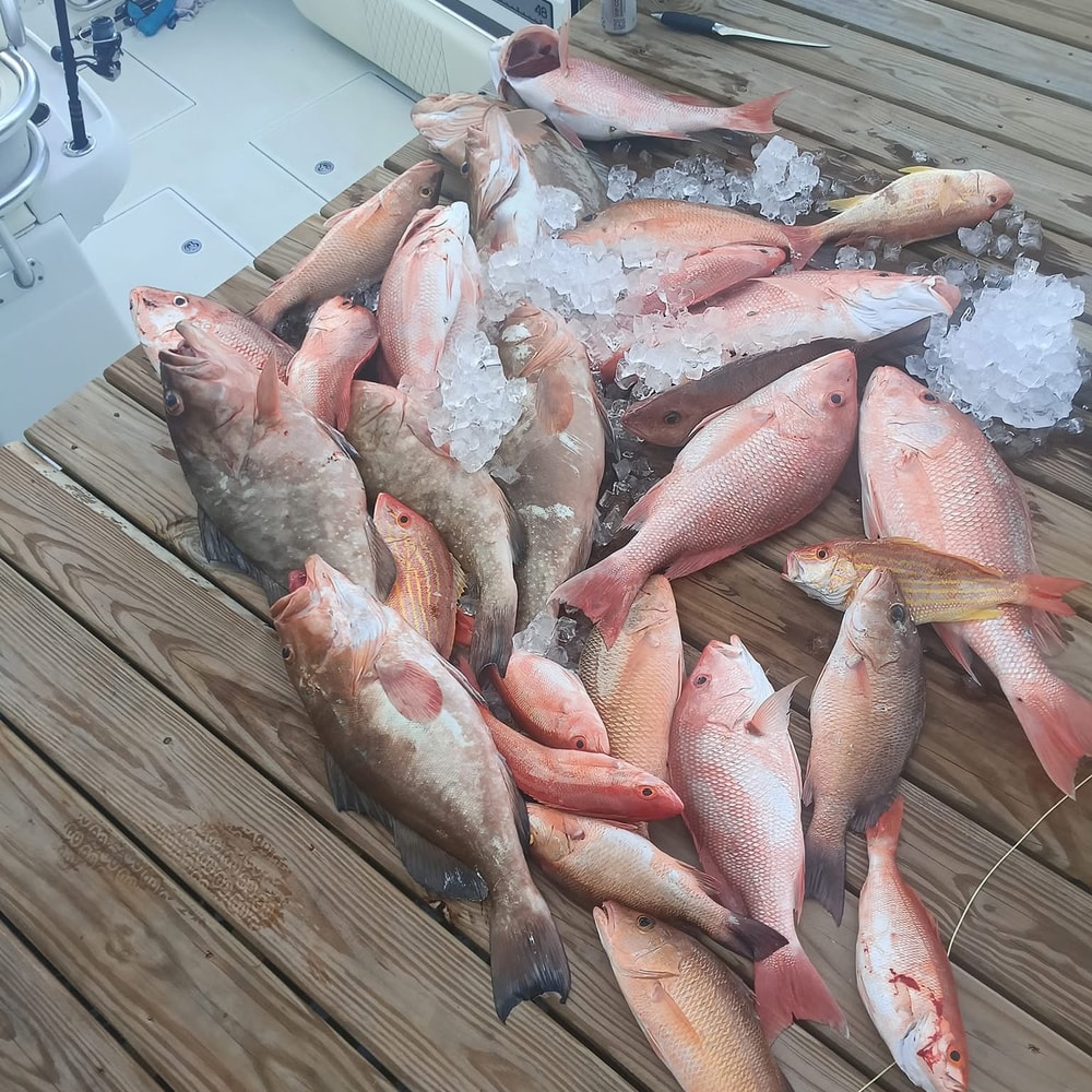 Fishing in Destin