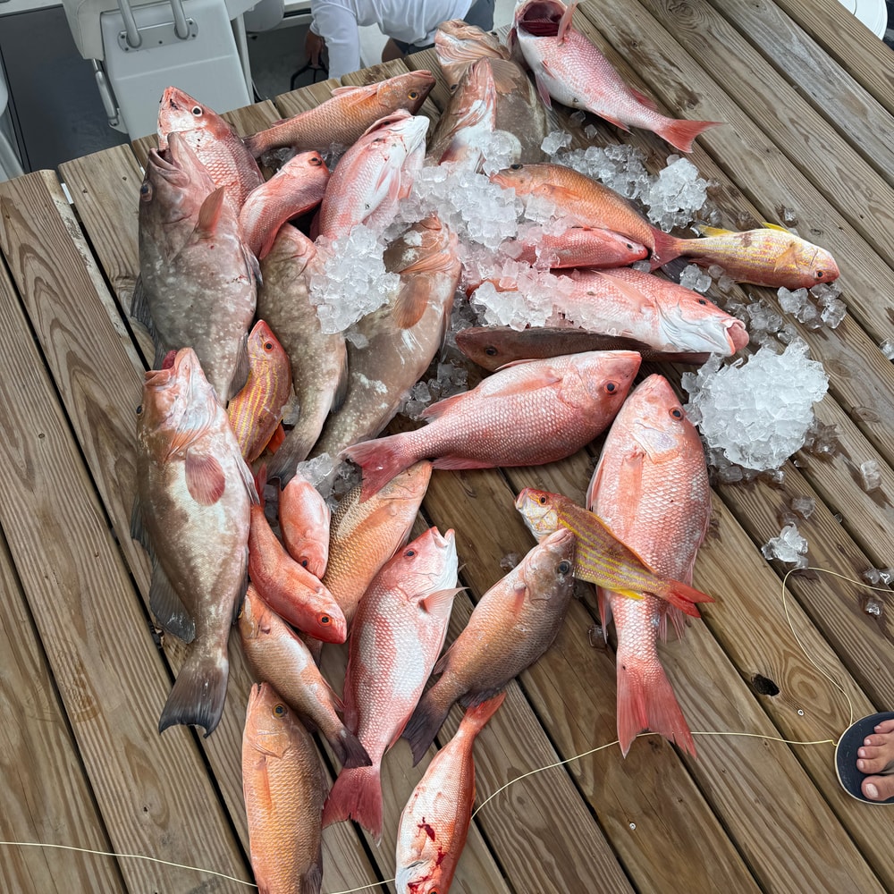 Fishing in Destin