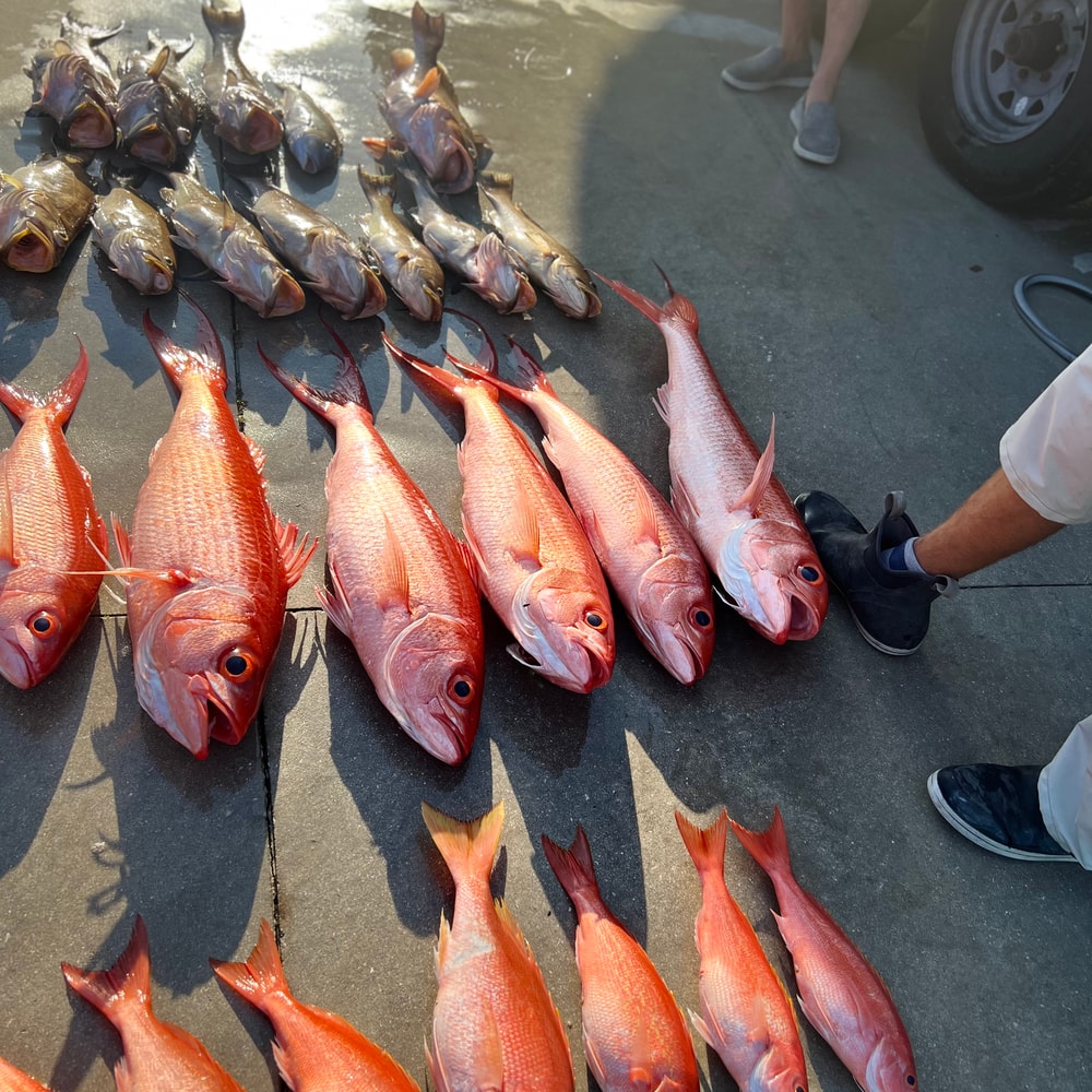Fishing in Destin