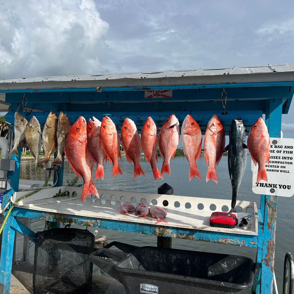 Fishing in Destin