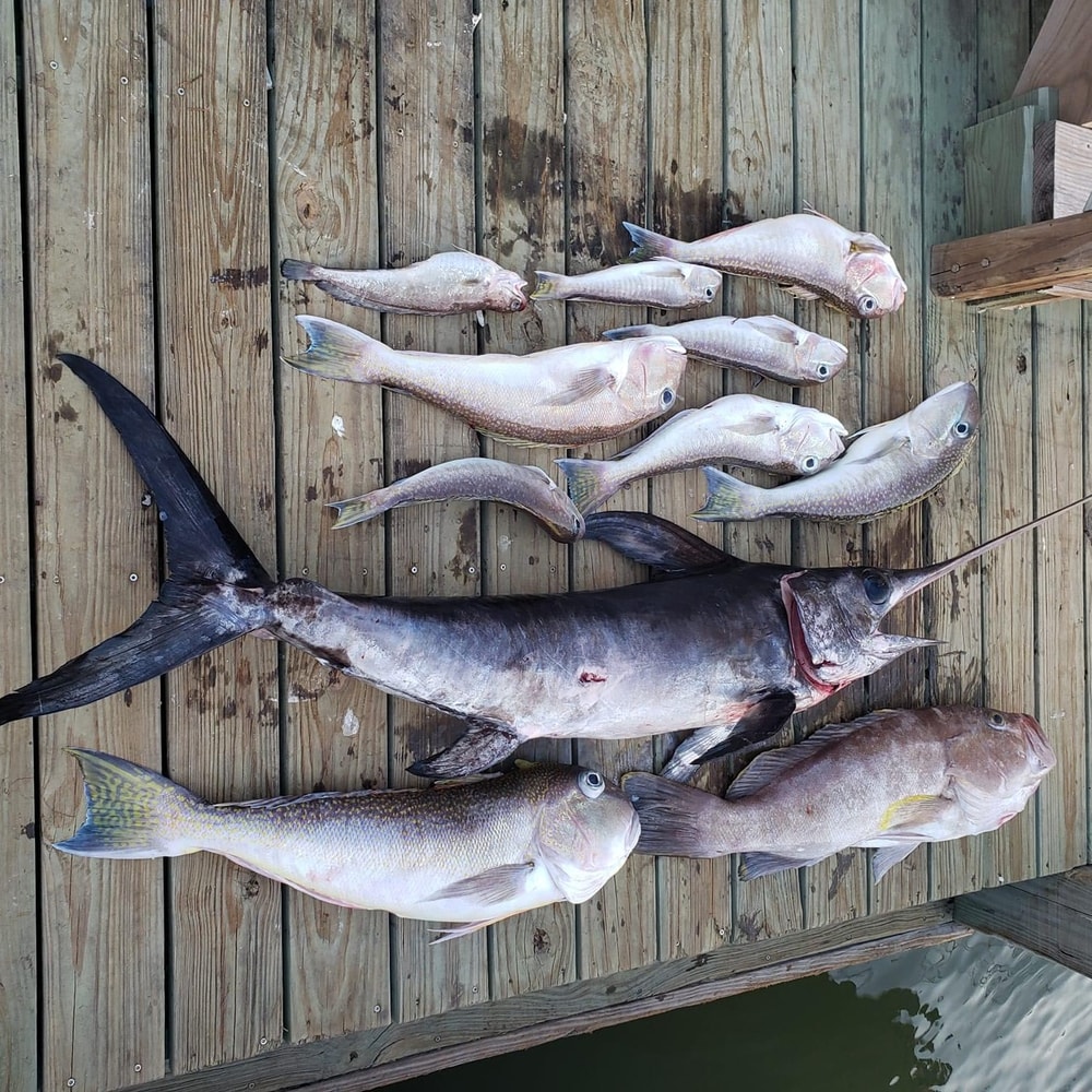 Fishing in Destin