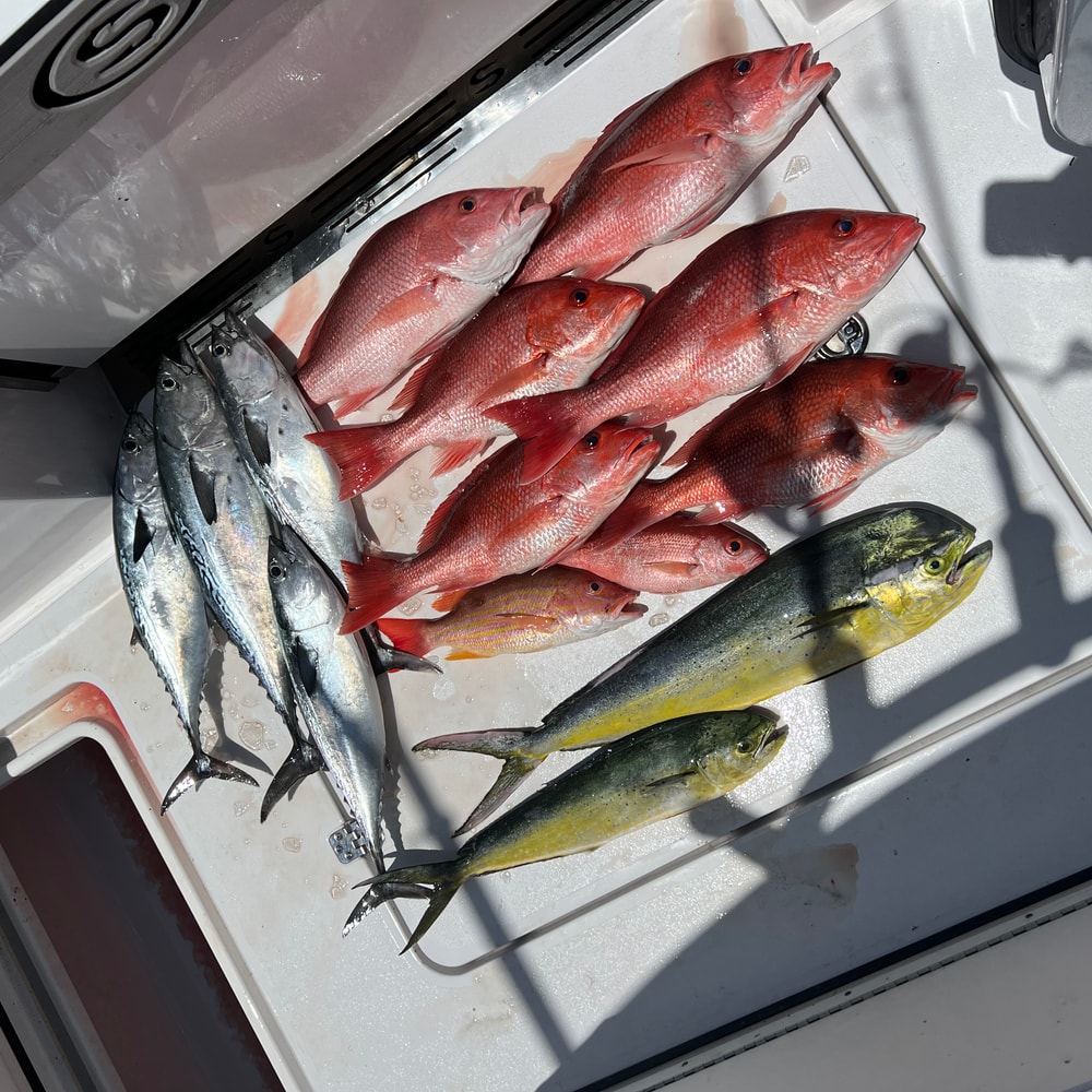 Fishing in Destin