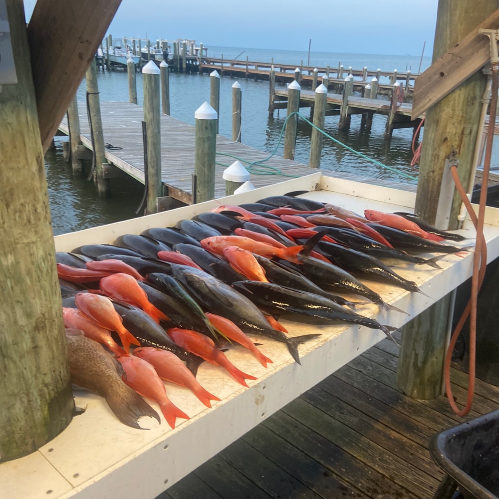 Fishing in Destin