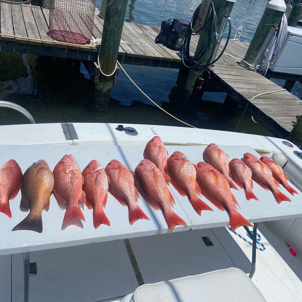 Fishing in Destin