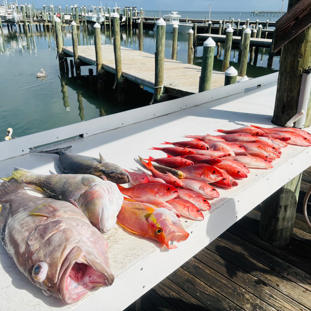 Fishing in Destin